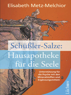 cover image of Schüßler-Salze--Hausapotheke für die Seele